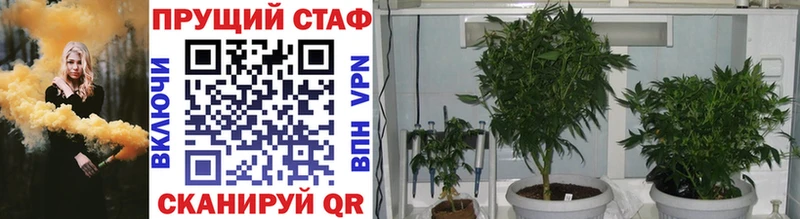 Наркошоп купить A-PVP Меф Канск