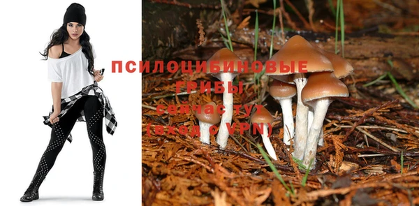 метадон Аркадак
