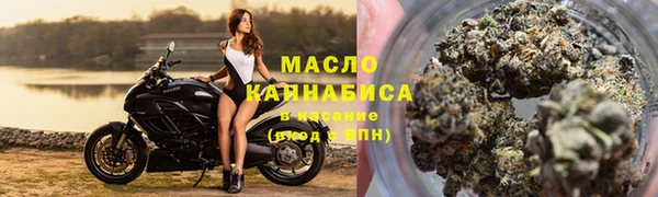 прущая мука Арсеньев