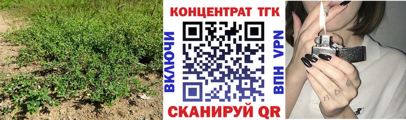 Купить где  Канск  Дистиллят ТГК гашишное масло 